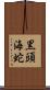黒頭海蛇 Scroll