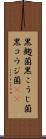 黒麹菌 Scroll