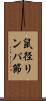 鼠径リンパ節 Scroll