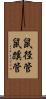 鼠径管 Scroll