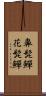 鼻髭鱓 Scroll