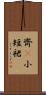 齊B小短裙 Scroll