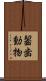 齧歯動物 Scroll