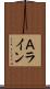 Ａライン Scroll
