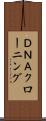 ＤＮＡクローニング Scroll