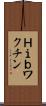 Ｈｉｂワクチン Scroll