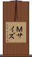 Ｍサイズ Scroll