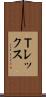 Ｔレックス Scroll