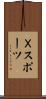 Ｘスポーツ Scroll