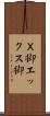 Ｘ脚 Scroll