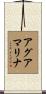 Aguamarina Scroll
