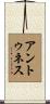 Antunez Scroll