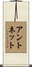 Antonette Scroll