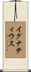 Ignatius Scroll