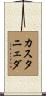 Castaneda Scroll