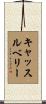 Castleberry Scroll