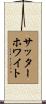 Satterwhite Scroll