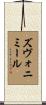 Zvonimir Scroll