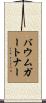 Baumgartner Scroll