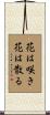Flowers Bloom and Flowers Fall Scroll