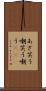 あざ笑う Scroll