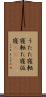 うたた寝 Scroll