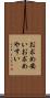 お求め安い Scroll