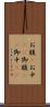 お腹(P) Scroll