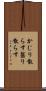 かじり散らす Scroll