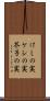 けしの実 Scroll
