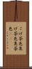 こげ茶色 Scroll