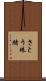 さとう珠緒 Scroll