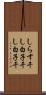 しらす干し Scroll