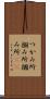 つかみ所 Scroll