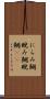 にらみ鯛 Scroll