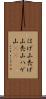 はげ山 Scroll