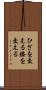 ひざを交える Scroll
