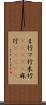 ま行 Scroll