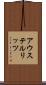 アウステルリッツ Scroll