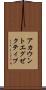 アカウント・エグゼクティブ Scroll