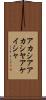 アカシア Scroll
