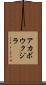 アカボウクジラ Scroll