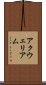 アクウェリアム Scroll