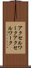 アクセルワーク Scroll