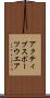 アクティブスポーツウエア Scroll