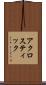 アクロスティック Scroll