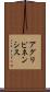 アグリピネンシス Scroll