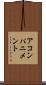 アコンパニメント Scroll