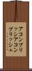 アコンプリッシ Scroll