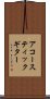 アコースティック・ギター Scroll